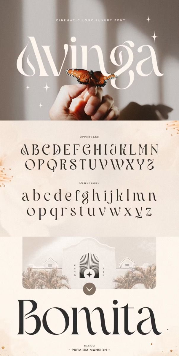 Discover Elegant Fonts for Your Cinematic Logo Design