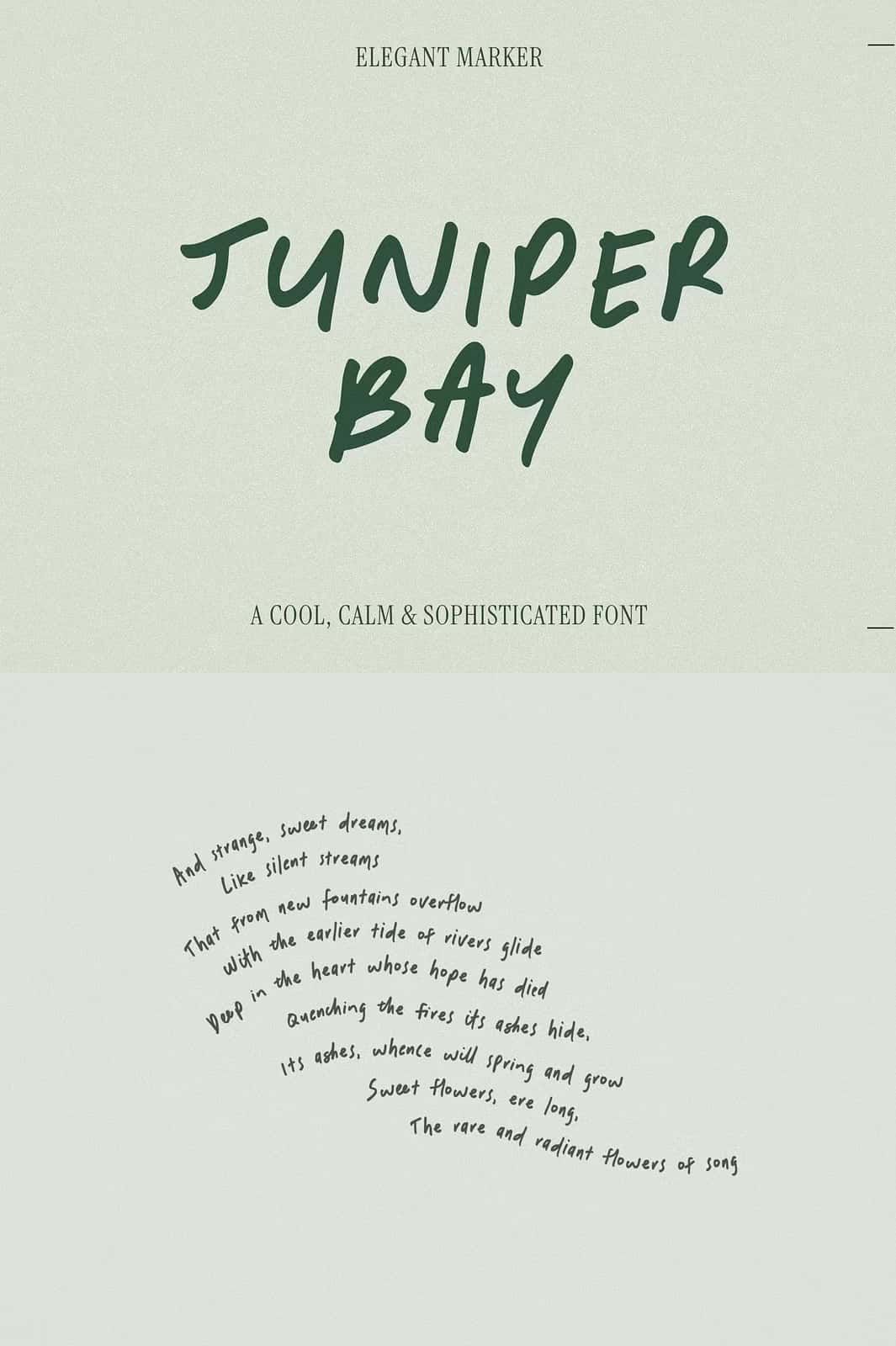 Juniper Bay Elegant Handwriting Font — Leasted — Graphics Template Resources