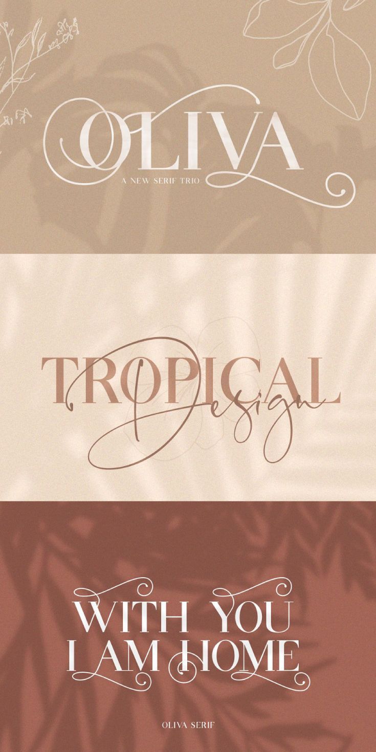 Romantic Serif Fonts, Handwritten Fonts & Luxury Font Collection