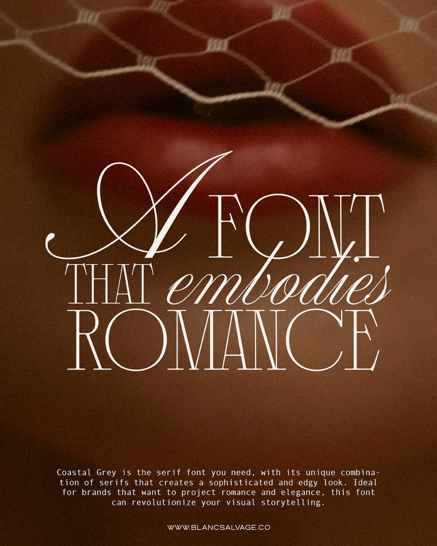 Resources — Blanc Salváge