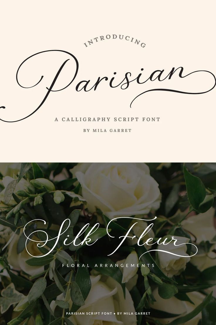 Parisian Vintage Calligraphy Script | Script fonts, French script fonts
