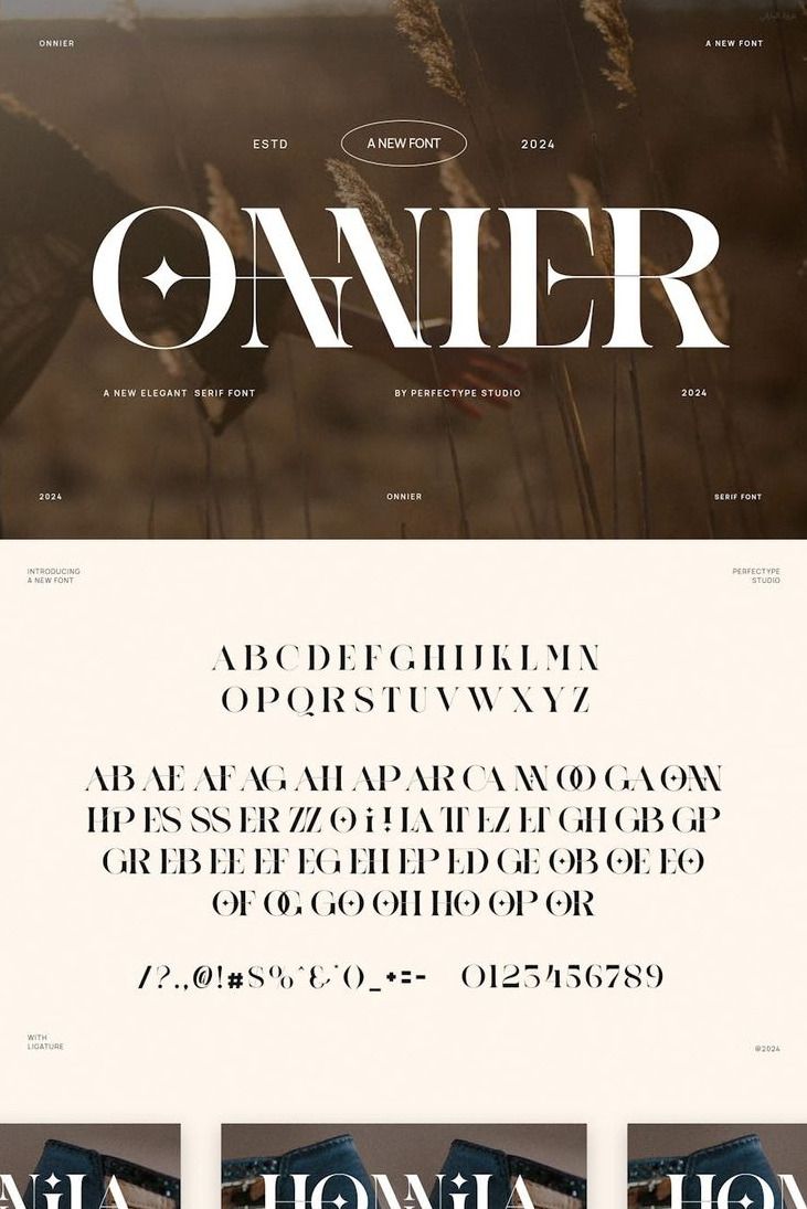 Onnier Elegant Ligature Serif Font Typeface