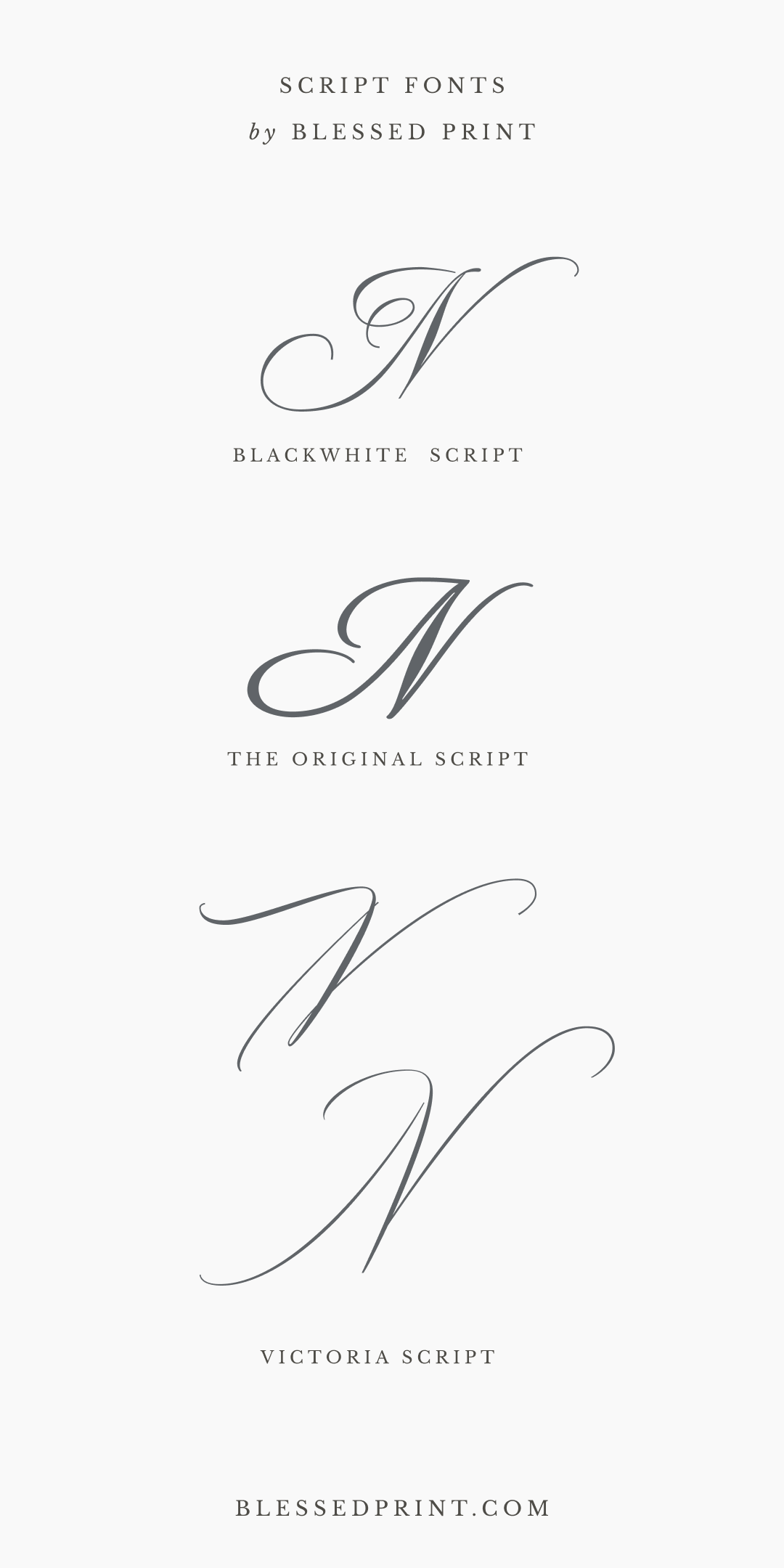 Blackwhite, The Original, and Victoria Script – Elegant Calligraphy Fonts