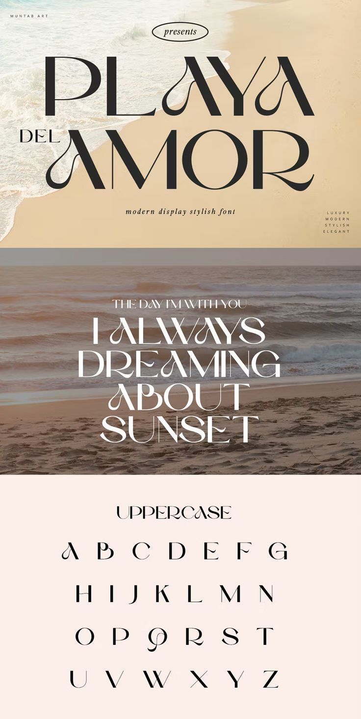 Playa del Amor Stylish Display Font | Vintage fonts, Typography fonts, Aesthetic fonts