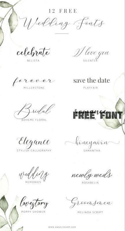 Free Font Family for Diverse Design Needs