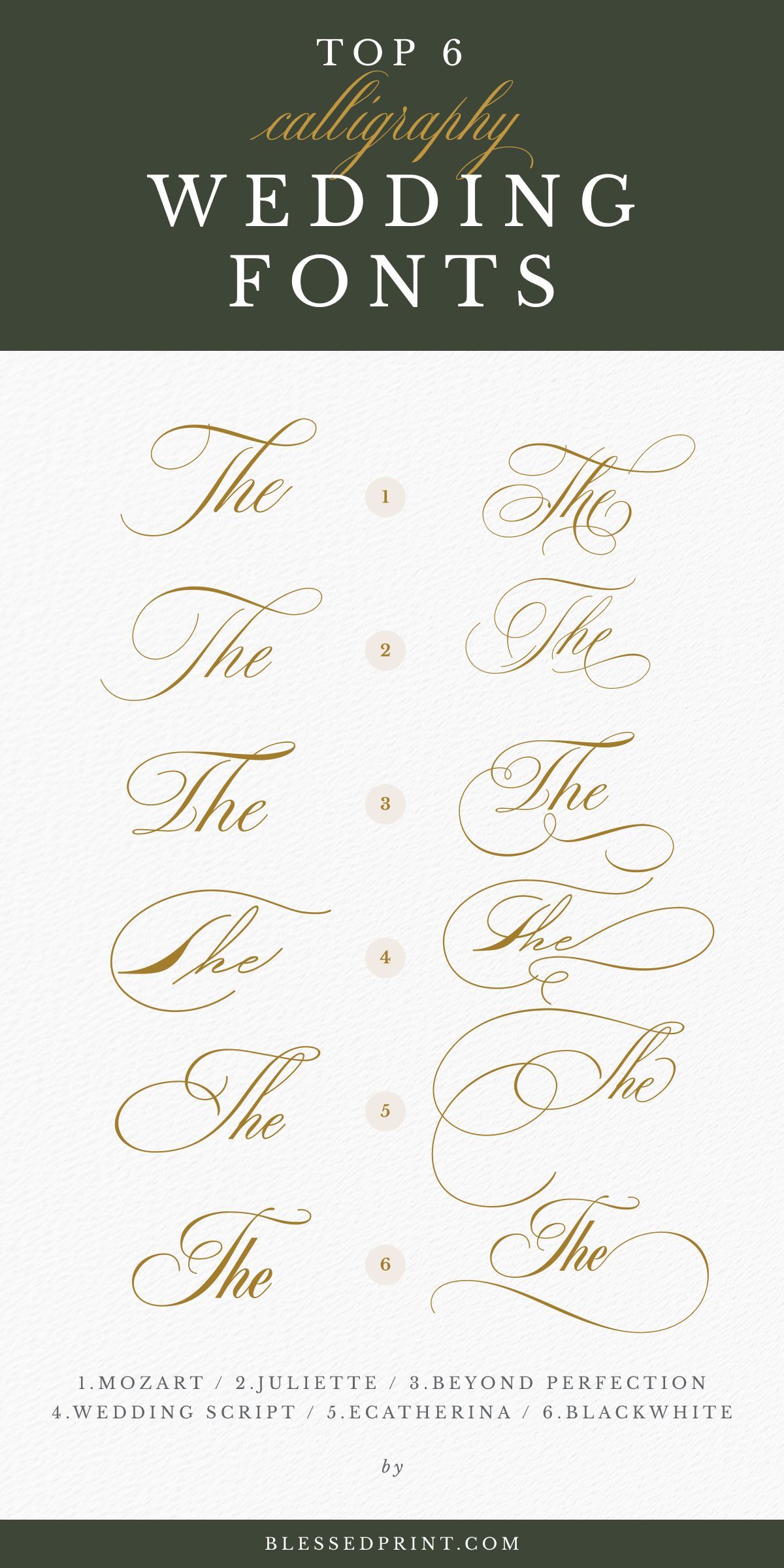 Top 6 Calligraphy Fonts for Wedding Invitations