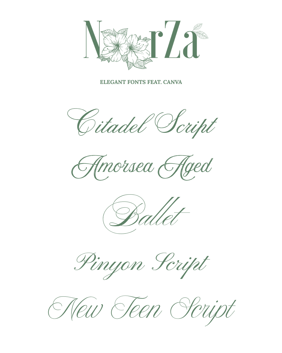 Our favourite elegant fonts from Canva!