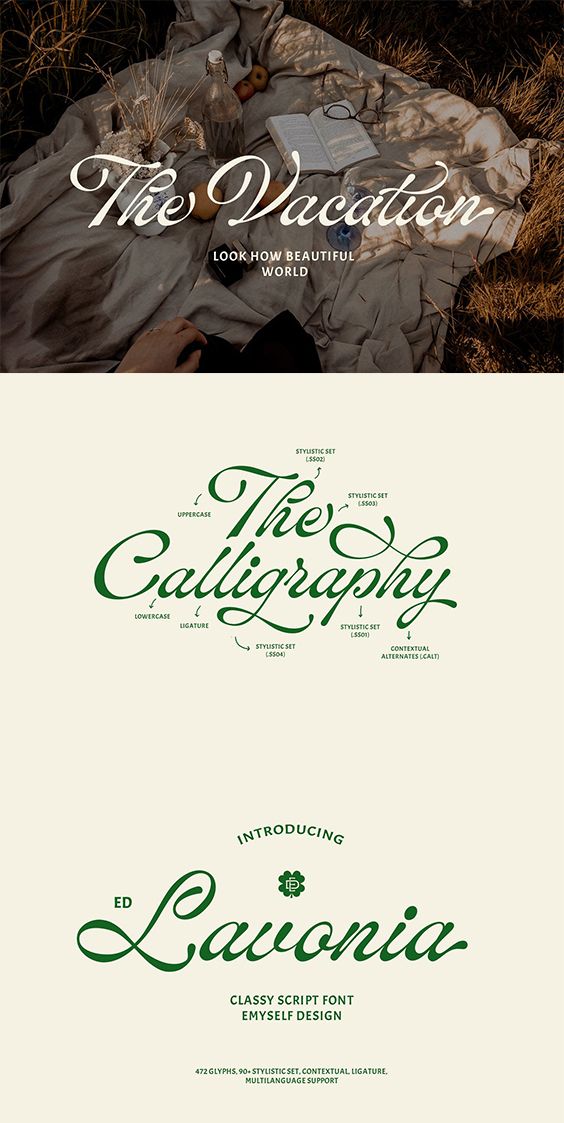 ED Lavonia — Classy Script