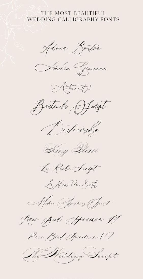 172,799+ Free & Premium Fonts 2024 | Creative Fabrica