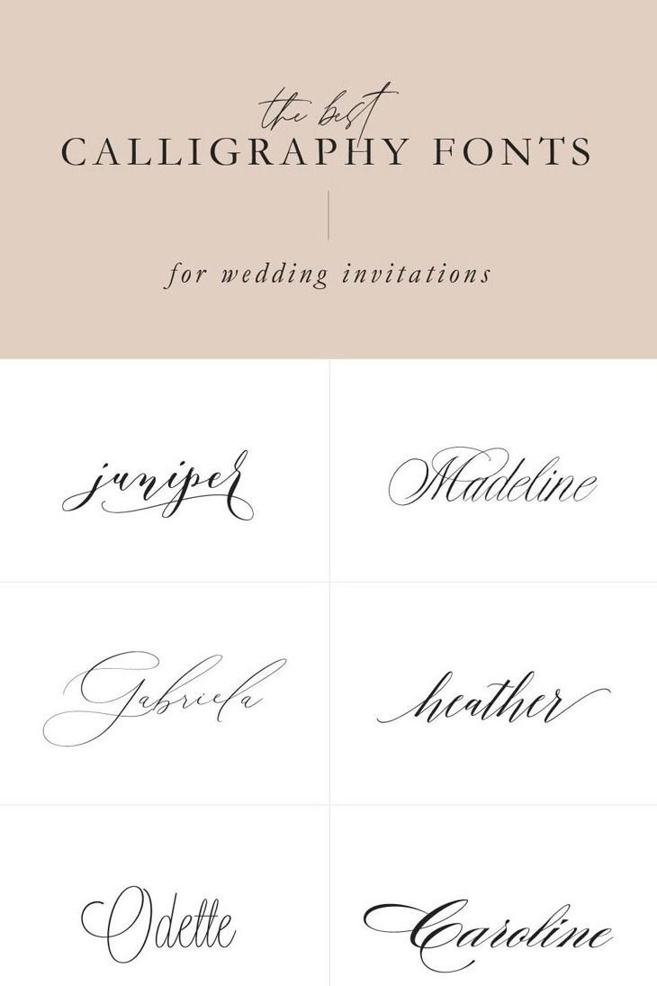 The Best Calligraphy Fonts for Wedding Invitations | Pipkin Paper Company