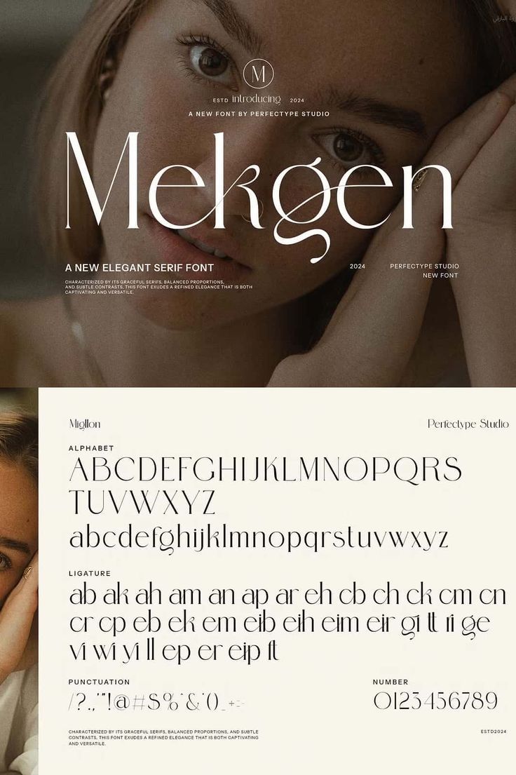 Mekgen Ligature Serif Font