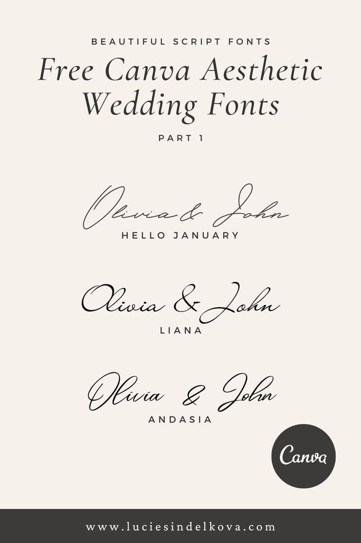 10 Best Aesthetic Wedding Canva Fonts for Modern Designs