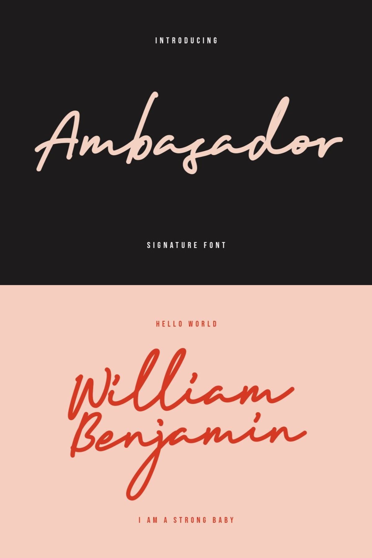 Ambasador Signature Font: A Modern Serif with a Touch of Elegance