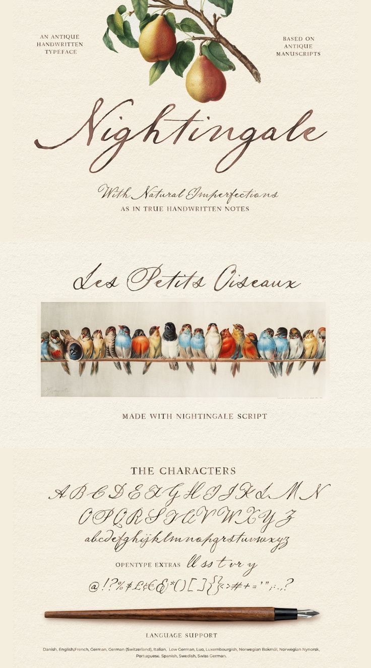 Antique Design Graphic, Tattoo Fonts Alphabet Calligraphy Fancy L