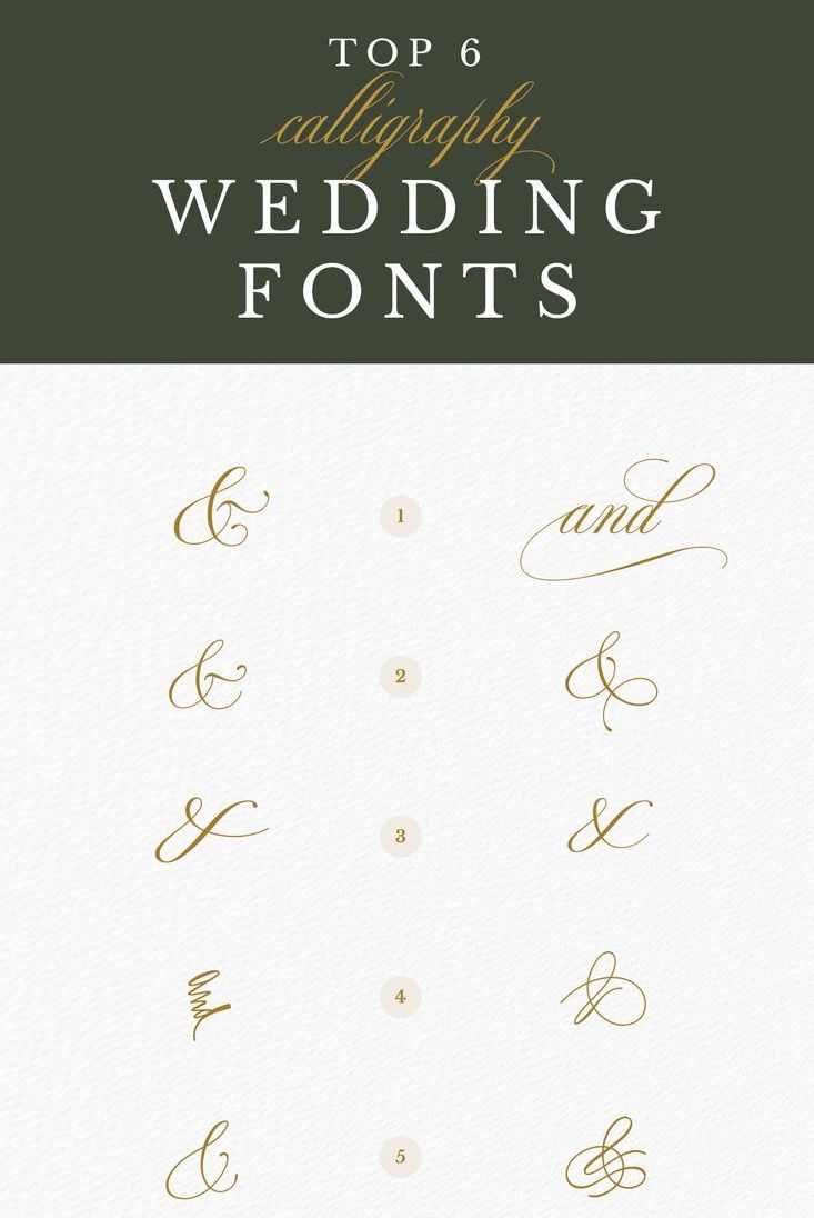 Top 6 Calligraphy Fonts for Wedding Invitations