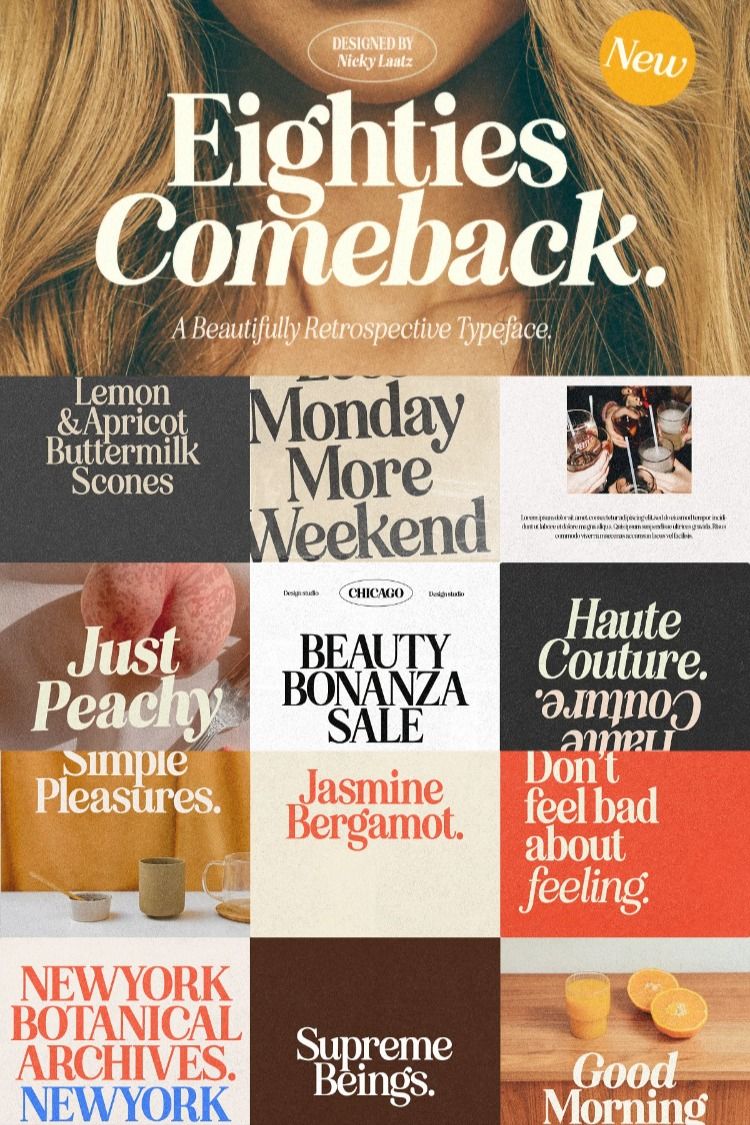 Eighties Comeback Serif (70 fonts) By Nicky Laatz in Fonts