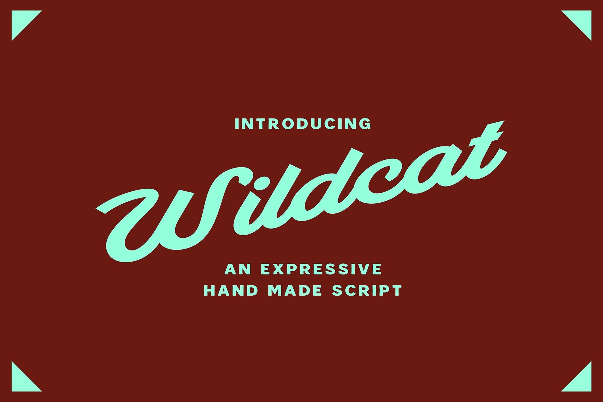 Police Wildcat Script : cursive rétro audacieuse pour les logos et la marque