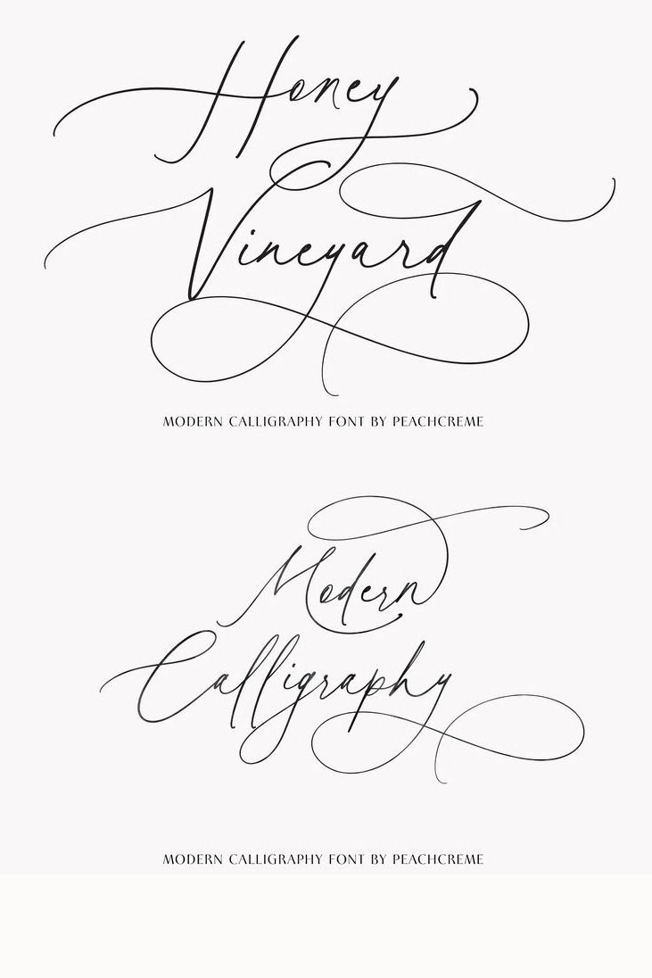Honey Vineyard // Modern Calligraphy