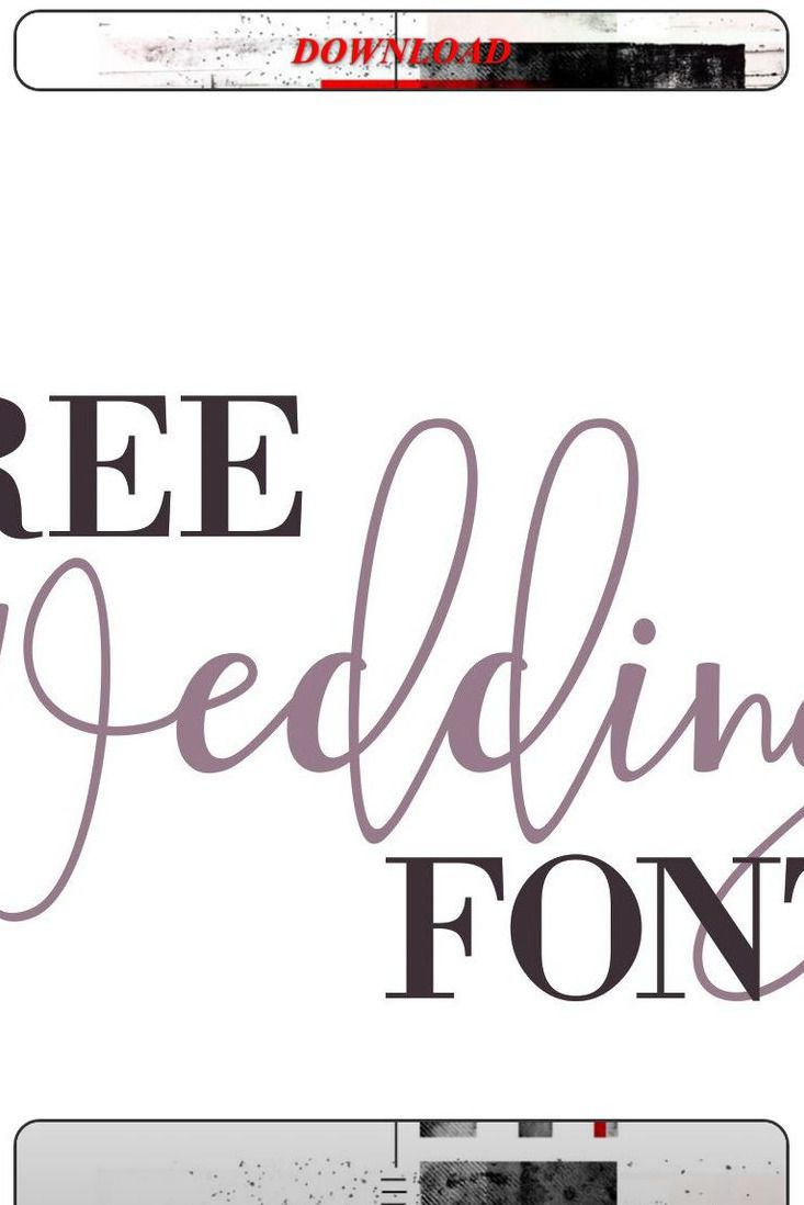 WT Bradford // Free Font.