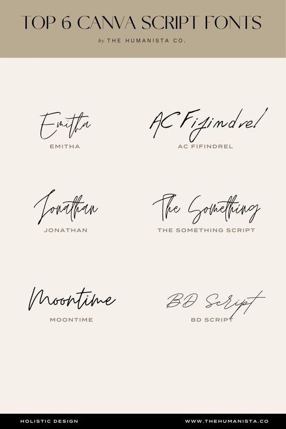 Top 6 Canva Script Fonts