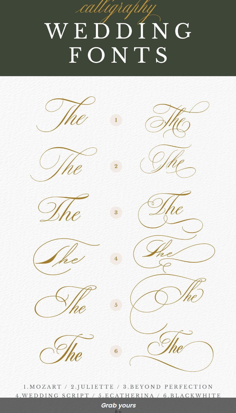 Top 6 Calligraphy Fonts for Wedding Invitations