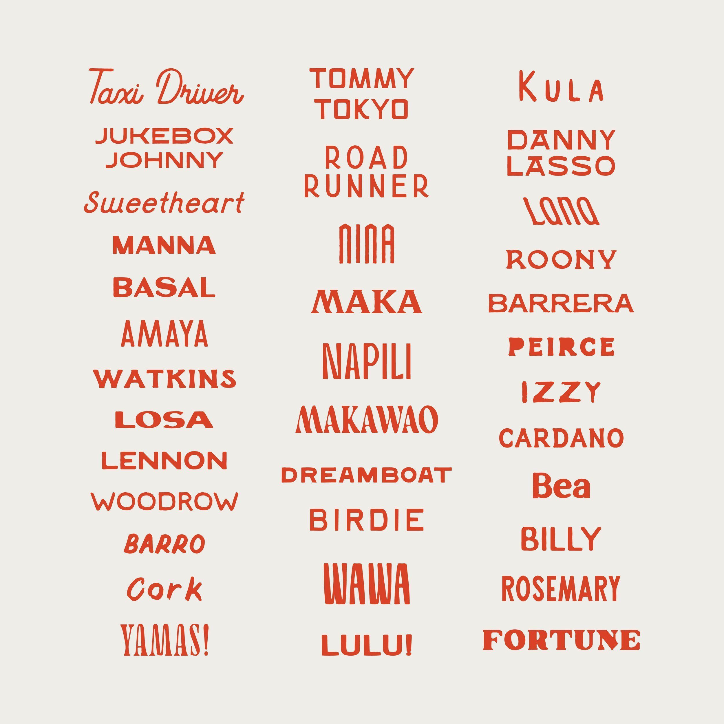 10+ Hand Drawn Fonts for Creative Projects by Taylor Penton!