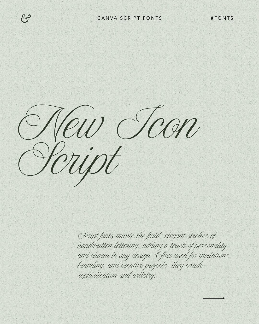 ✨ FREE Canva Script Fonts You Need to Try! ✨