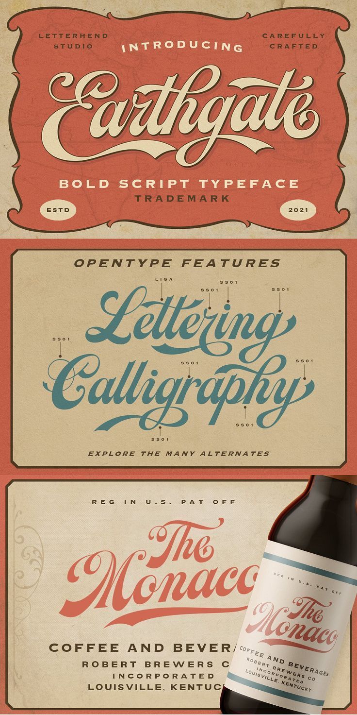 Bold Script Typeface Font