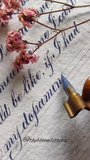 Aesthetic Calligraphy Alphabet & Hand Lettering Fonts for Beginners