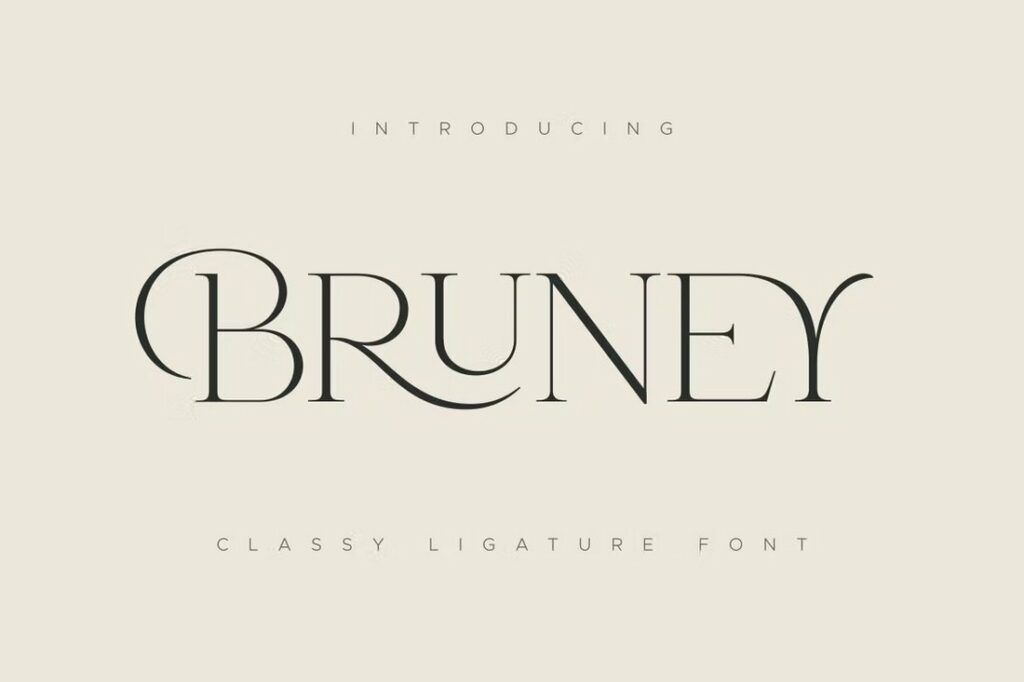 50+ Best Luxury & Elegant Fonts in 2026 (Free & Pro)