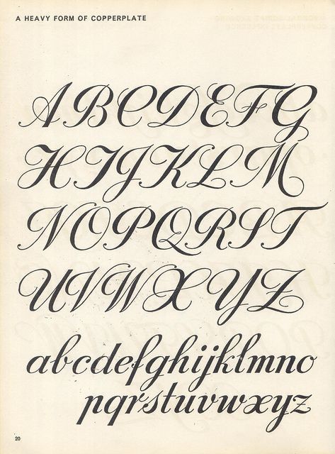 🖋️ FREE Access to Elegant Calligraphy at Your Fingertips