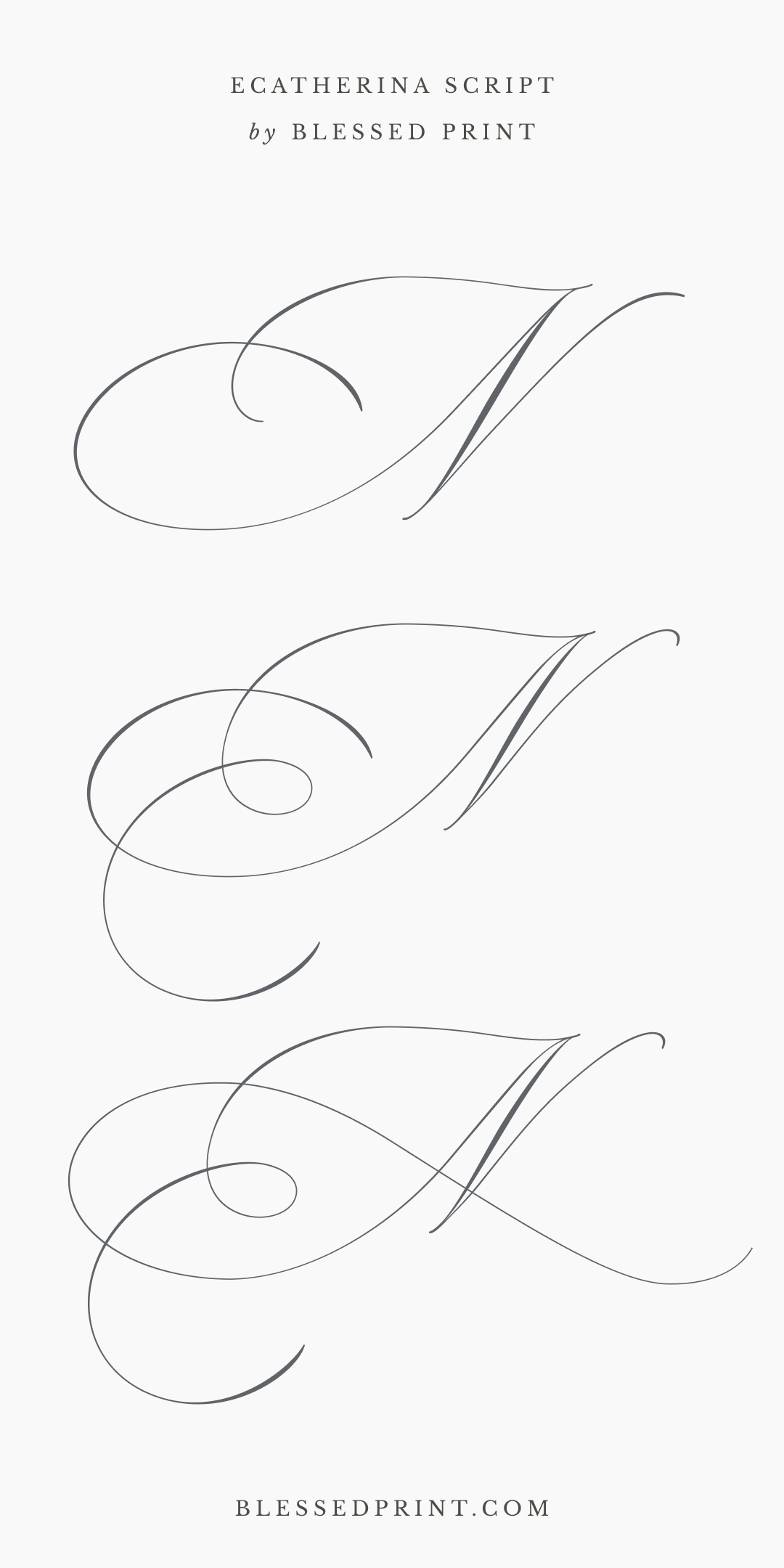 Ecatherina Script – Exquisite Flourished Calligraphy Font