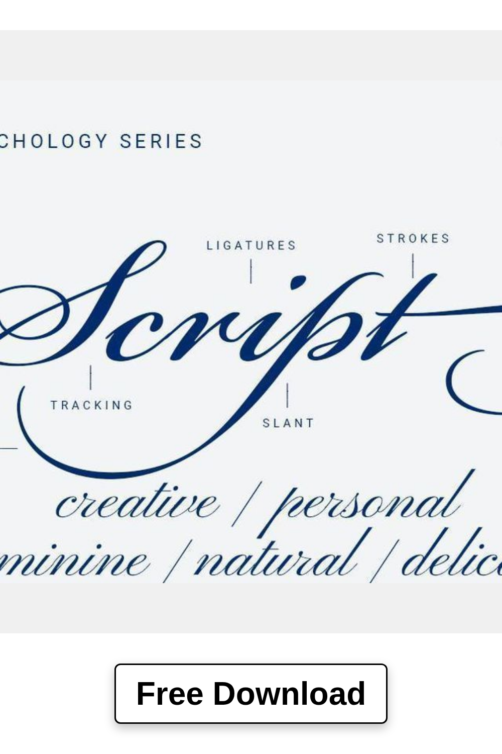 The Beauty of Script Fonts