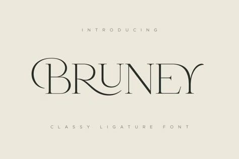 45+ Best Luxury & Elegant Fonts in 2025 (Free & Pro)