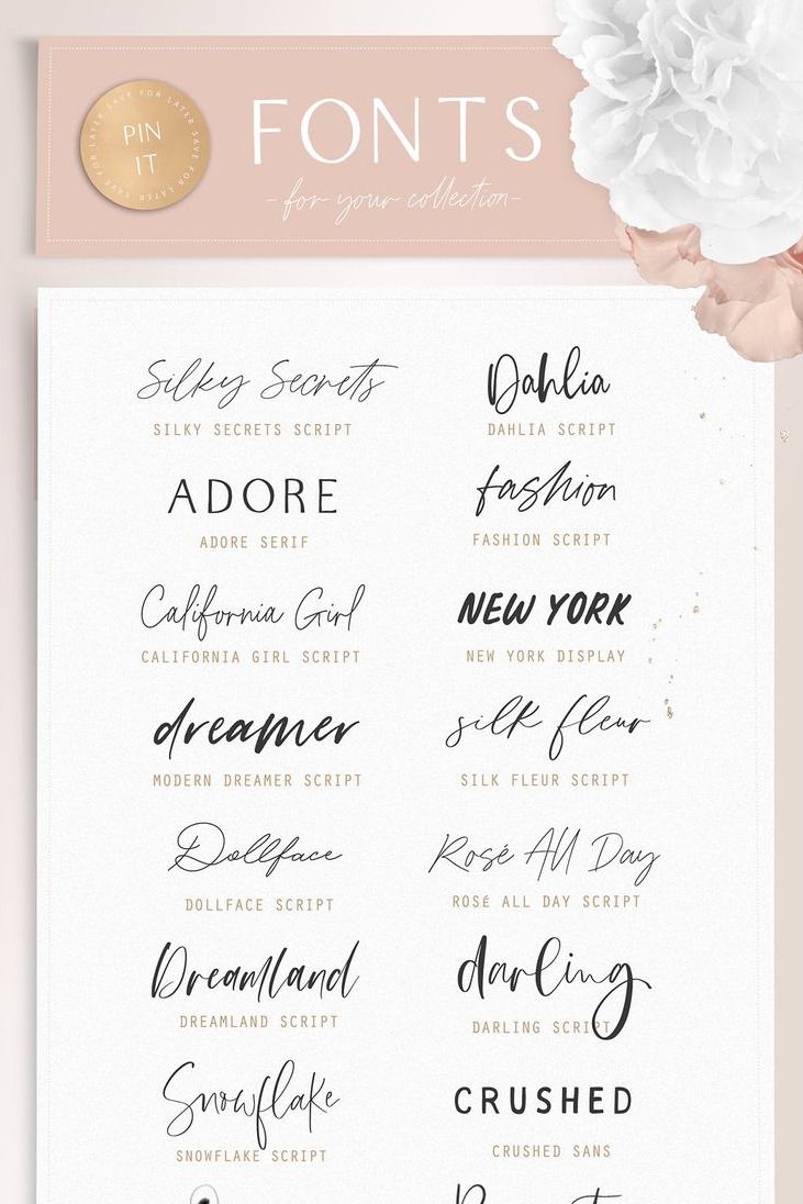 Modern Dreamer Font Bundle