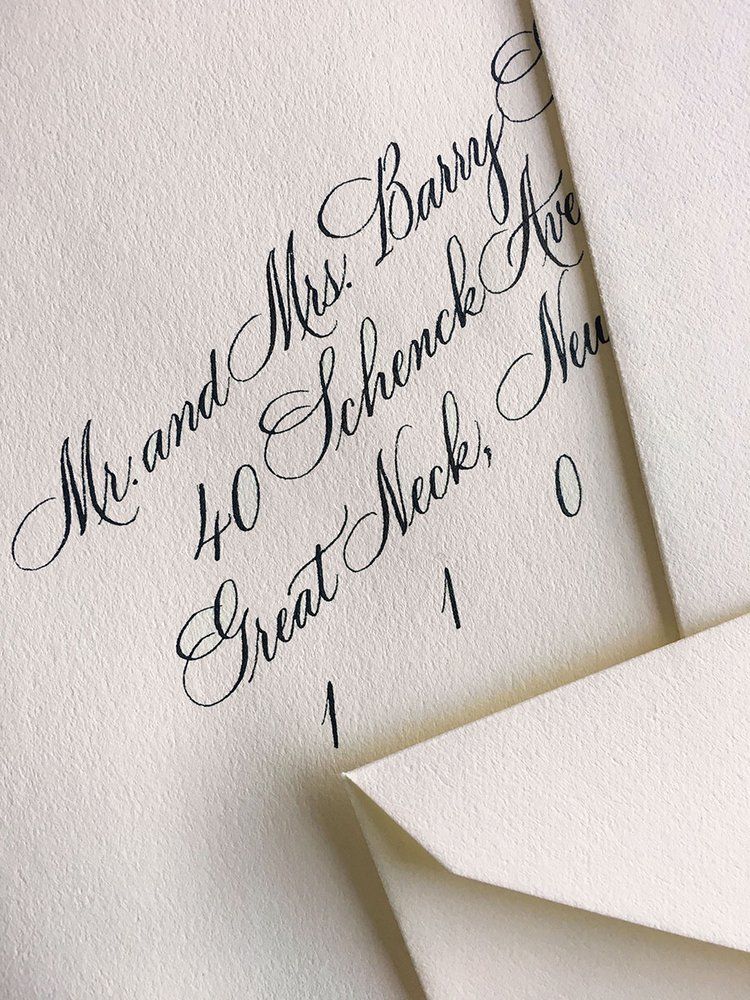 Gallery — Camellia & Co