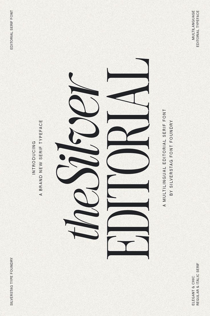 The Silver Editorial — Modern & Chic Serif Font