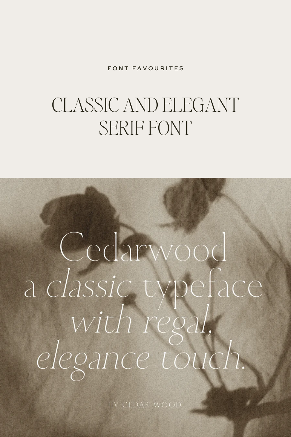 Cedarwood — Classic Light Serif Font