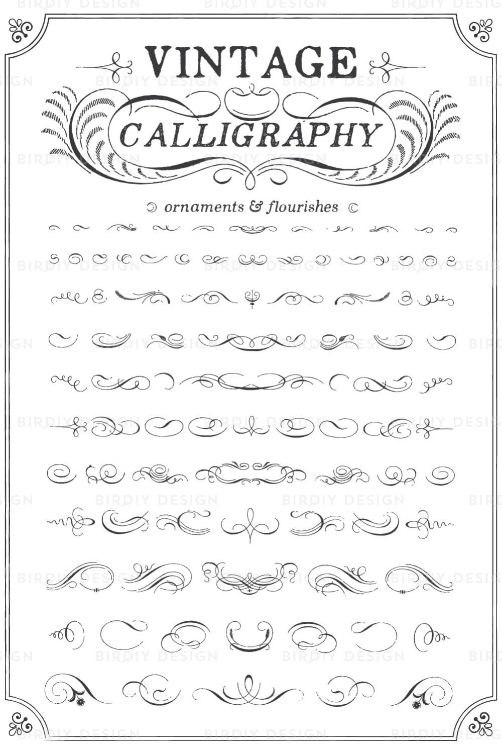 vintage Ornaments Clipart Set — Calligraphie Clipart — Boho Clipart — Rustic Clipart — Clip Art — EPS et PNG — Téléchargement instantané