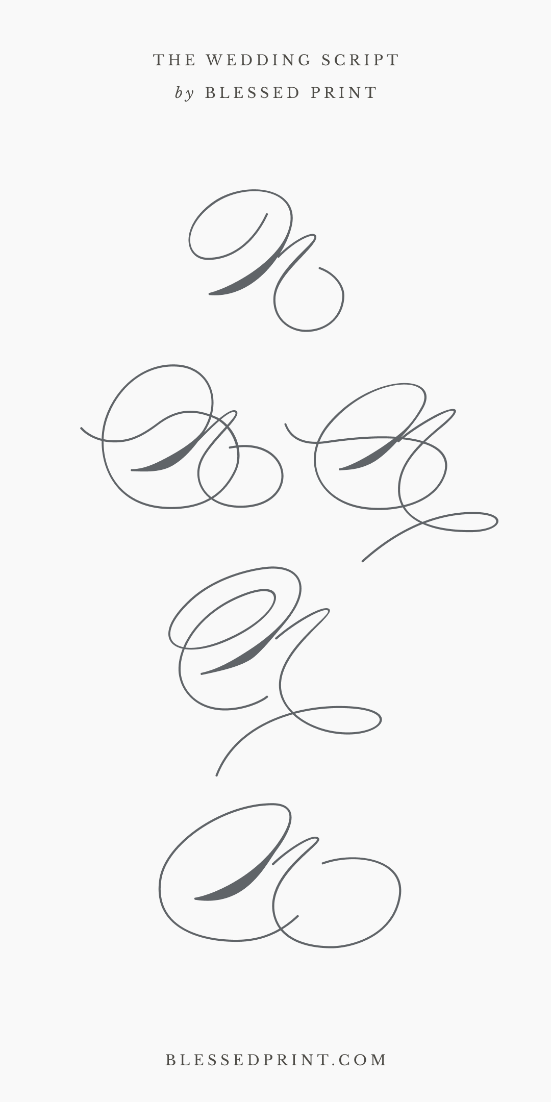 The Wedding Script – Luxurious Calligraphy for Elegant Designs