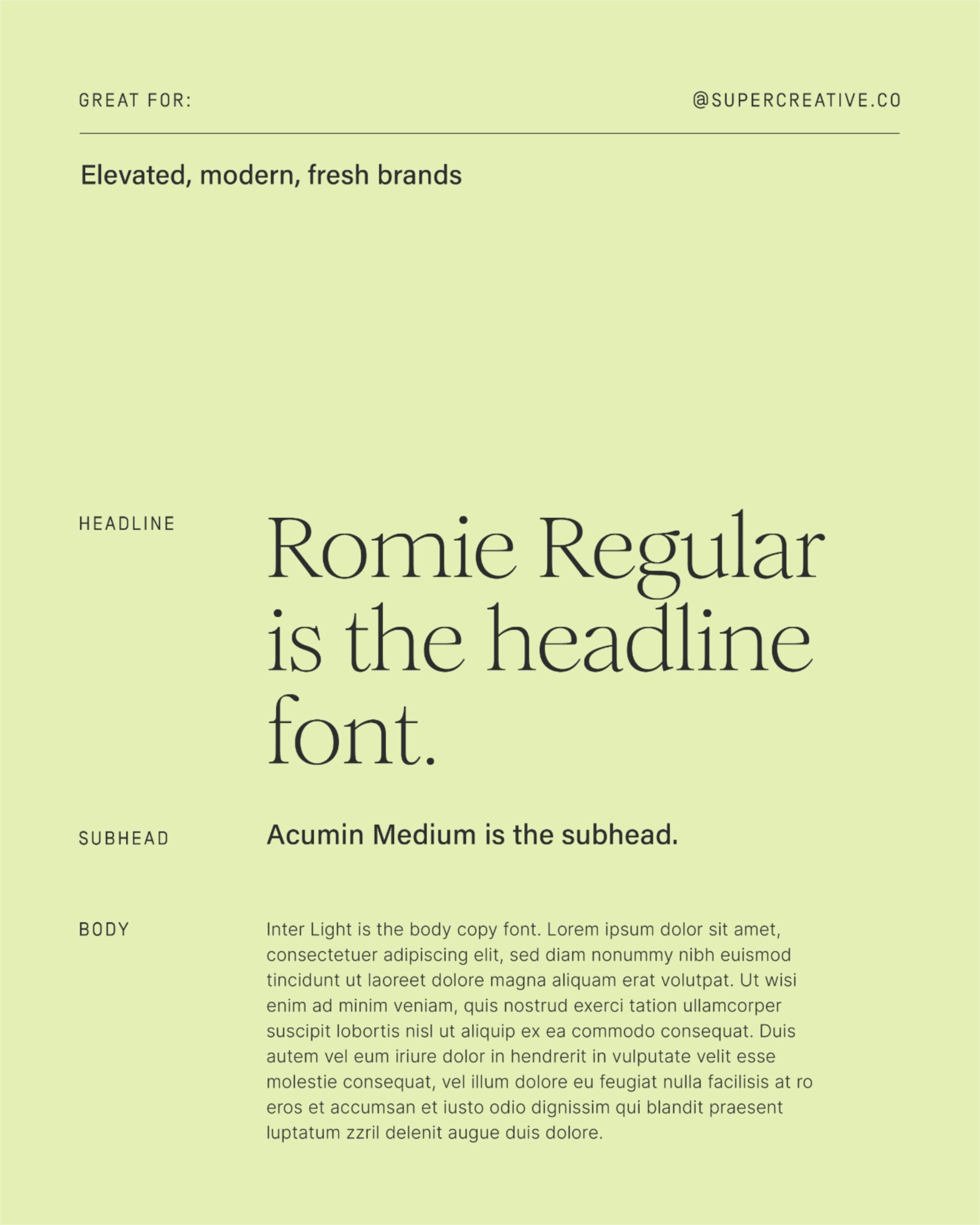 Typography for Elevated, Modern, and Fresh Brands🌟