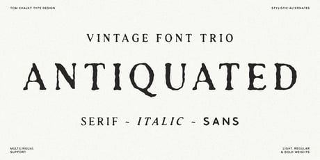 Textured serif Fonts