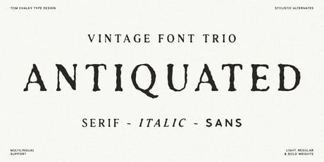 Chic Textured Serif Fonts for Your Next Project