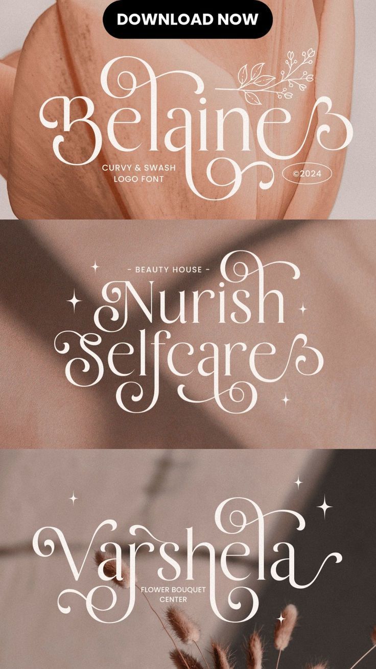 Belaine Font Family | My Fonts