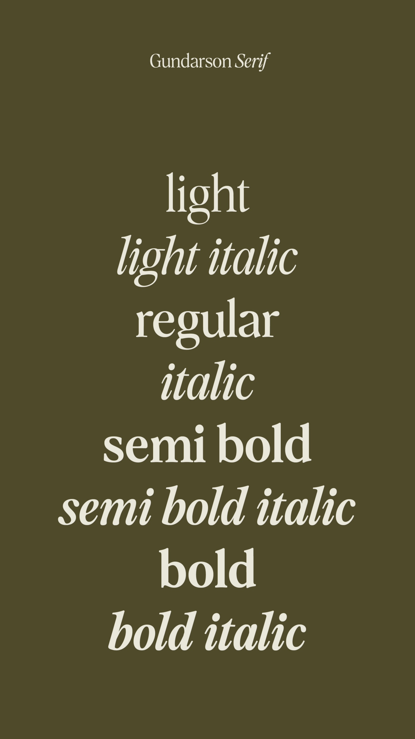 Gundarson Serif – A Timeless Serif Font Family by Local Desk Design