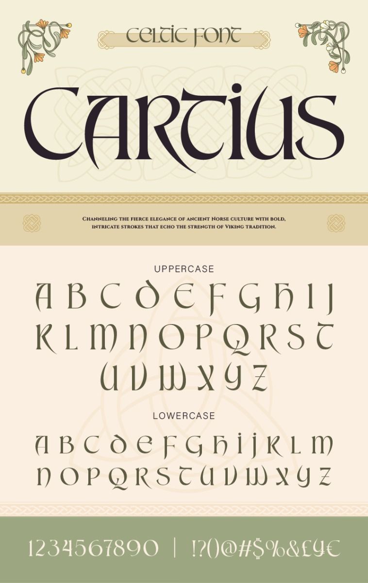 fancy font | Discover Elegant Fonts: Transform Your Designs with Cartius