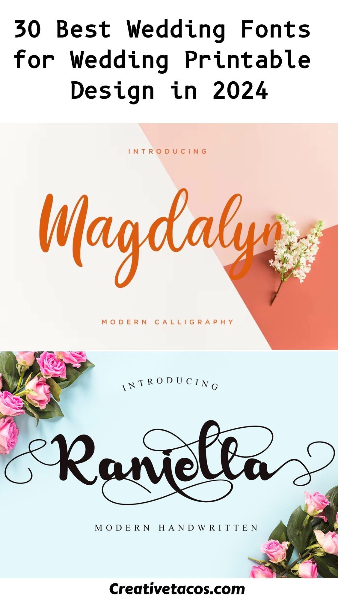 30 Best Wedding Fonts for Wedding Printable Design in 2024