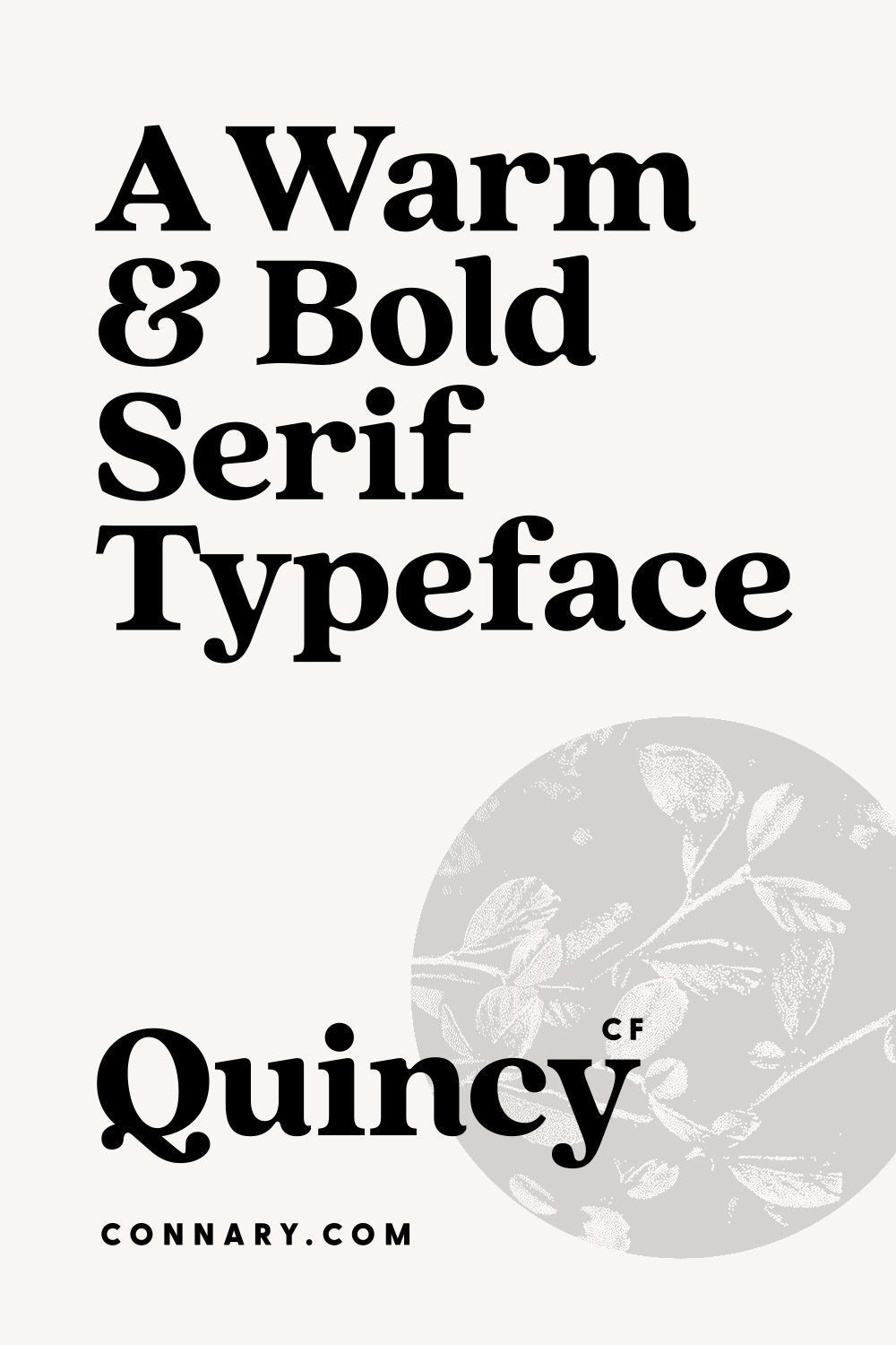 Warm Vintage Serif Font for Elegant Wedding and Luxury Branding