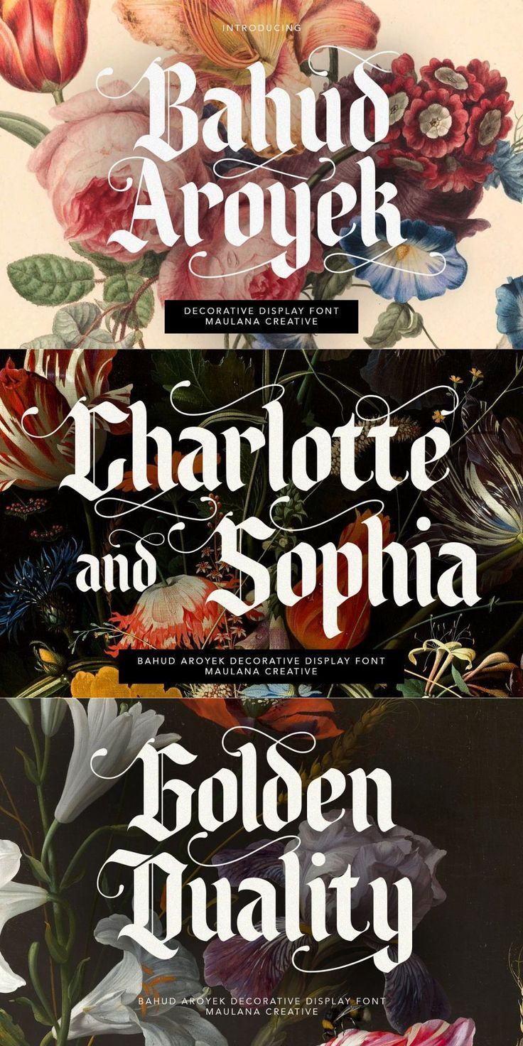 Decorative Display Font for Logos, Victorian, Modern, Aesthetic Designs