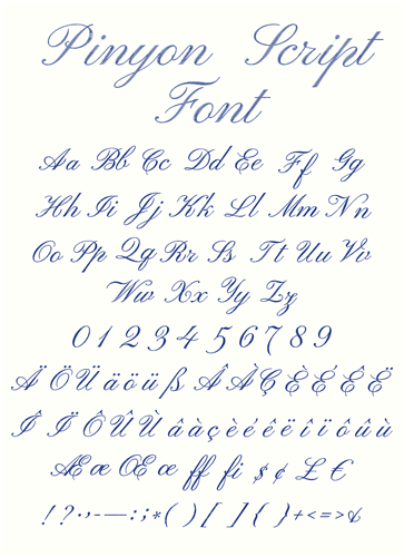 Pinyon Script Font Embroidery Font